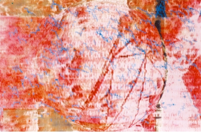 Joseph Nechvatal's Contemporary Various Paintings - Virus Attack:la CaRne