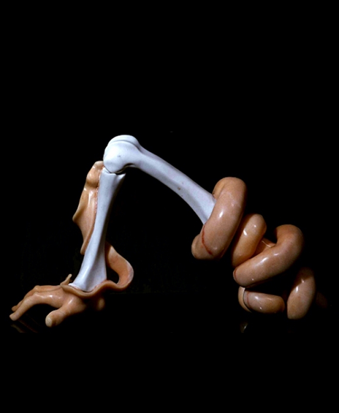 Claude Cehes's Contemporary Sculpture - Arm