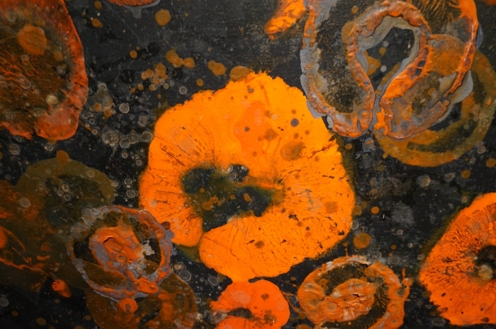 E-Moderne Gallerie's Contemporary Oil Painting - Poppies
