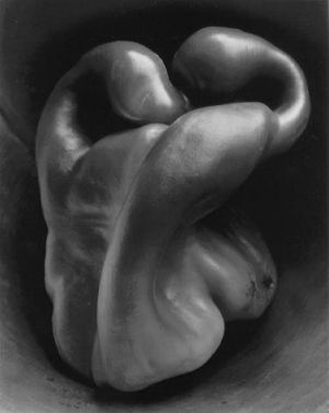 Contemporary Artwork by Edward Weston - Pepper no 30 1930