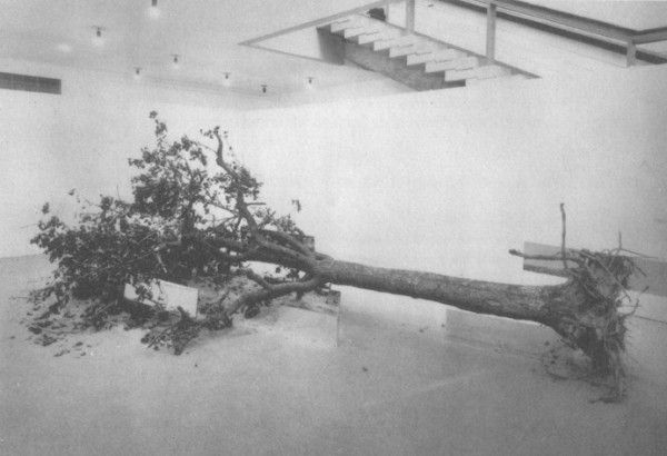 Robert Smithson's Contemporary Installation - Dead tree 1969