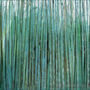 Contemporary Chinese Painting - Bamboo forest