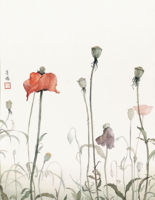 Song Yang's Contemporary Chinese Painting - Corn Poppy