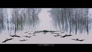 Qingdou Heaven 3 The World of Watermelon - Contemporary Multimedia Art