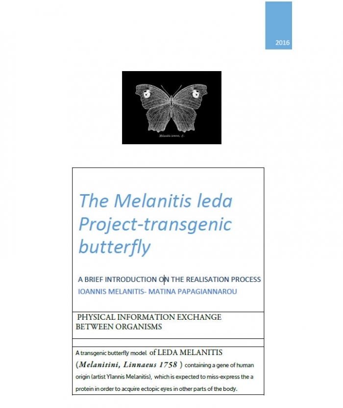 A transgenic butterfly model containing a gene of human origin