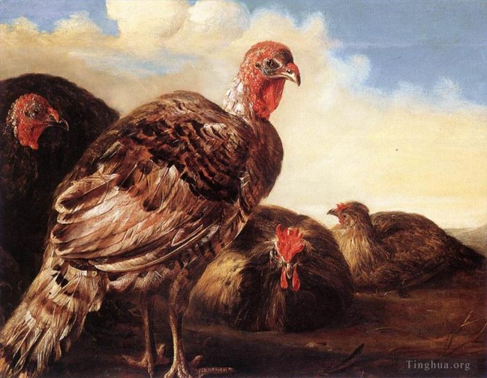 Aelbert Cuyp Oil Painting - Domestic Fowl
