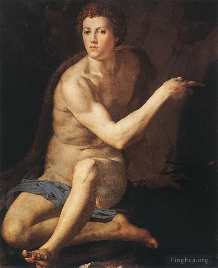 Agnolo Bronzino Oil Painting - John the Baptist