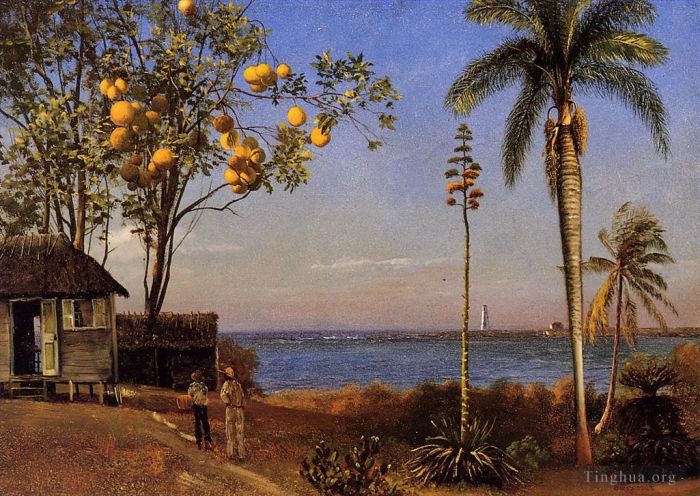 Albert Bierstadt Oil Painting - A View in the Bahamas