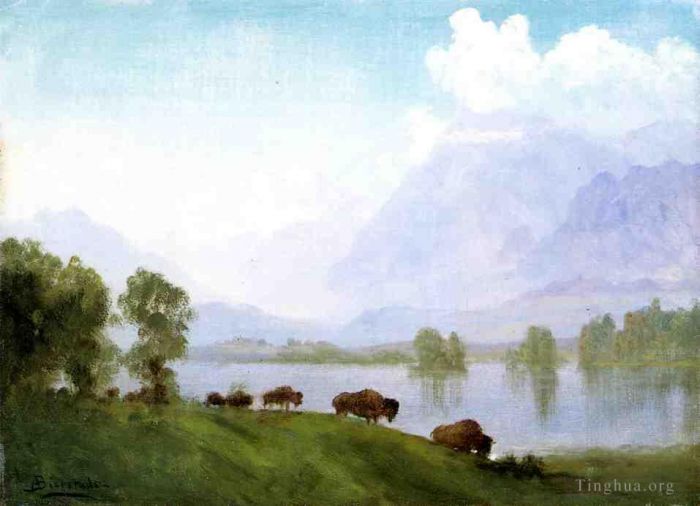 Albert Bierstadt Oil Painting - Buffalo Country