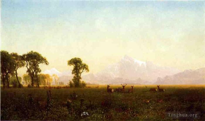 Albert Bierstadt Oil Painting - Deer Grazing Grand Tetons Wyoming