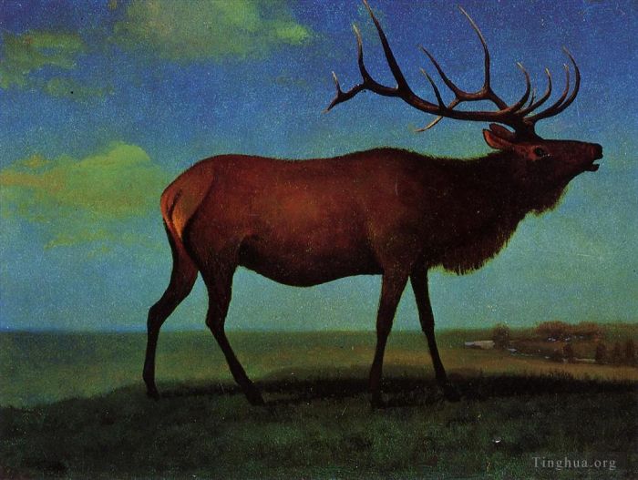 Albert Bierstadt Oil Painting - Elk
