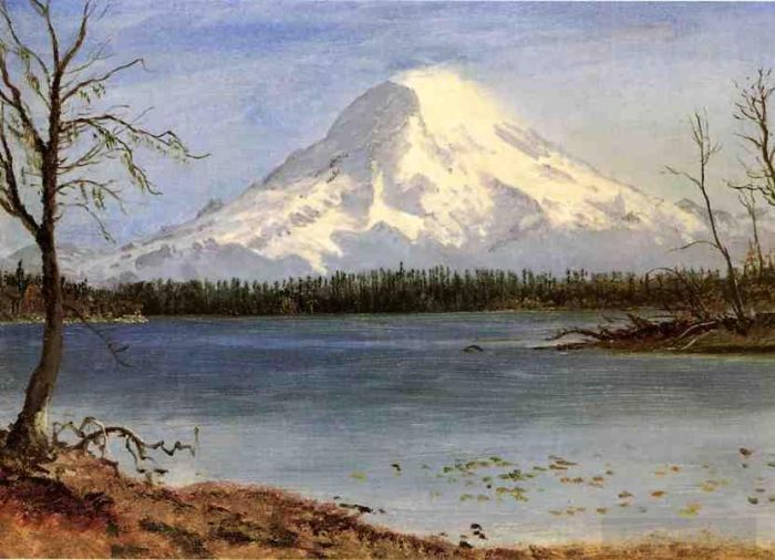 Albert Bierstadt Oil Painting - Lake in the Rockies