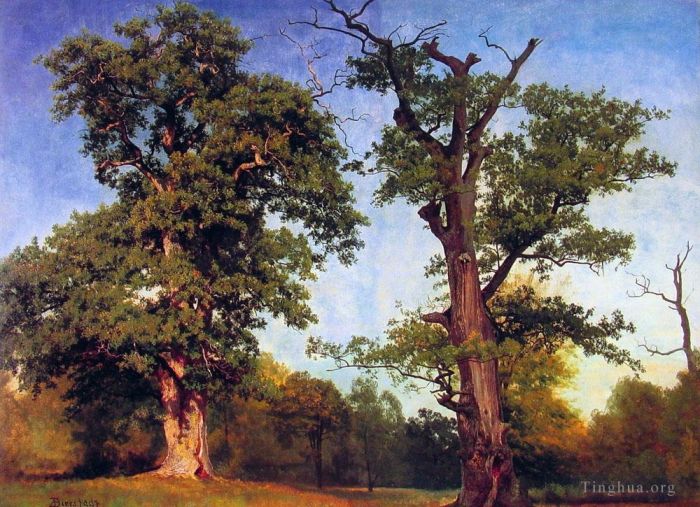 Albert Bierstadt Oil Painting - Pioneers of the Woods