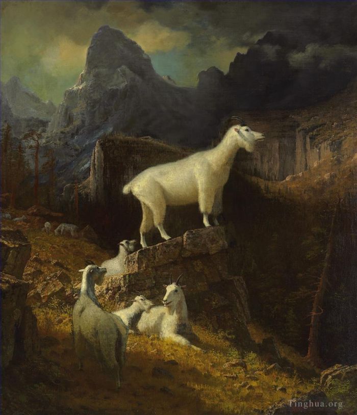 Albert Bierstadt Oil Painting - Rocky Mountain Goats