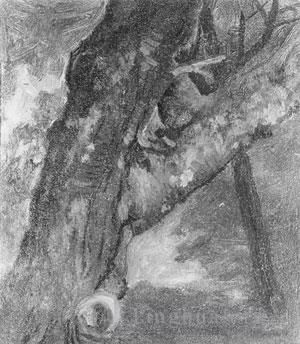Albert Bierstadt Oil Painting - Study Of A Tree luminism