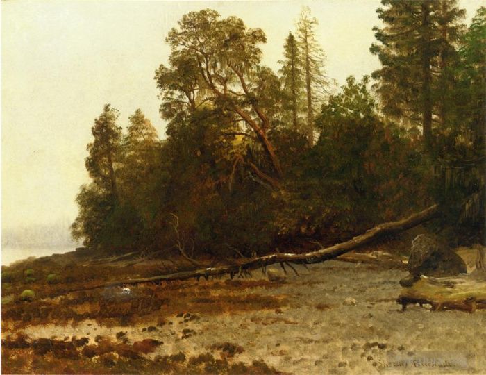 Albert Bierstadt Oil Painting - The Fallen Tree