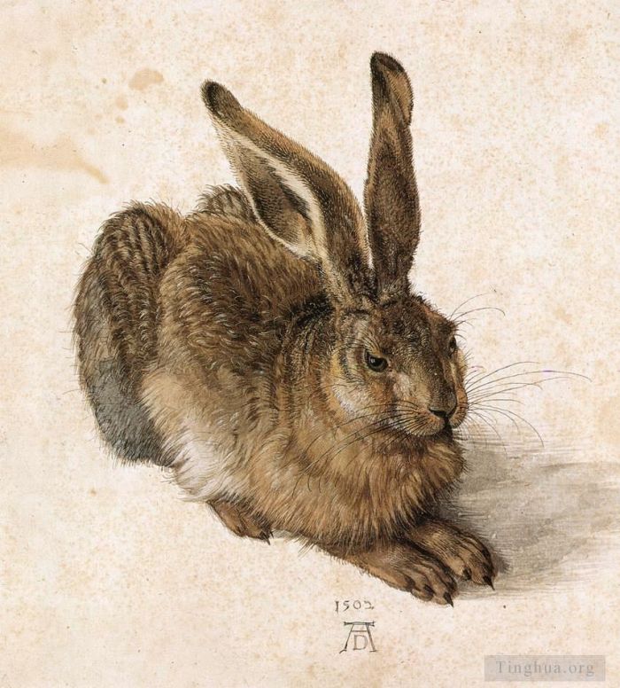 Albrecht Durer Various Paintings - A Young Hare