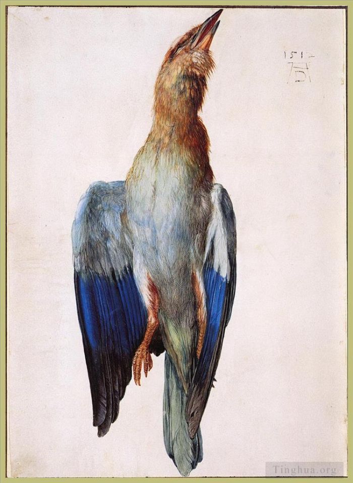 Albrecht Durer Various Paintings - Dead Bluebird