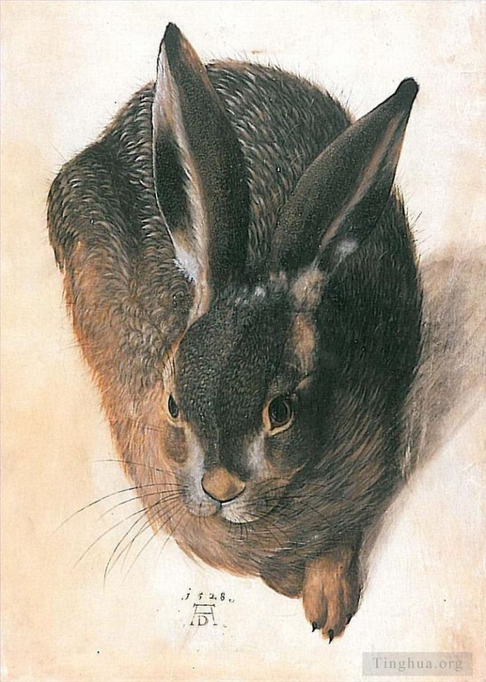 Albrecht Durer Various Paintings - Hare