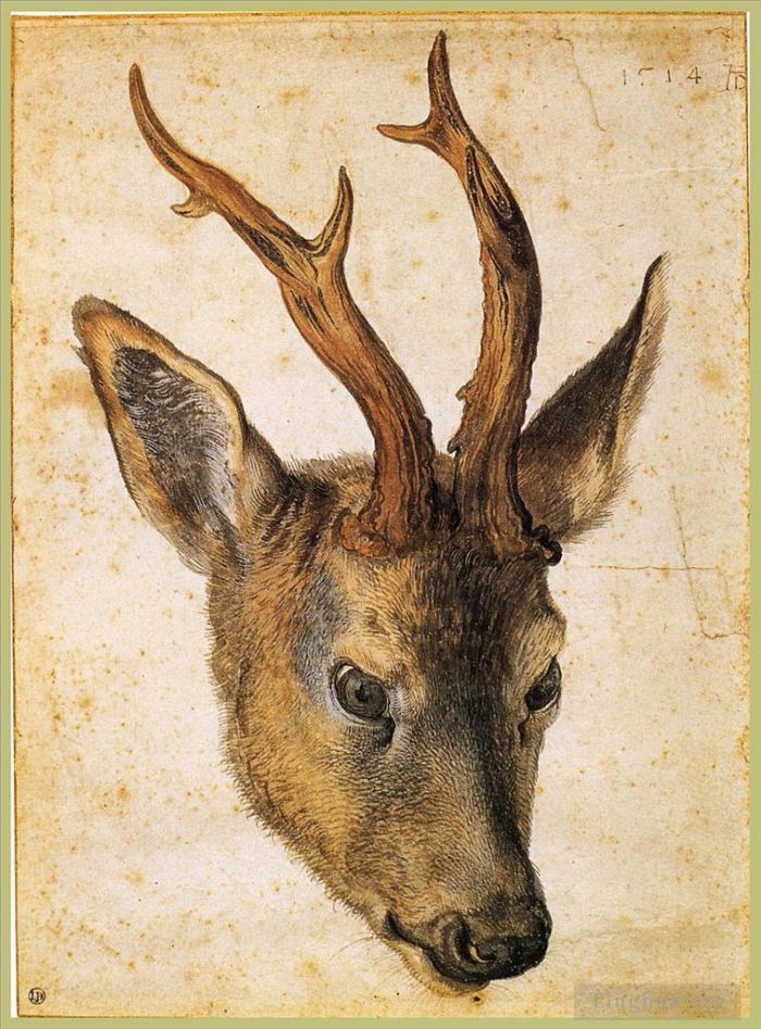 Albrecht Durer Various Paintings - Head of a Stag