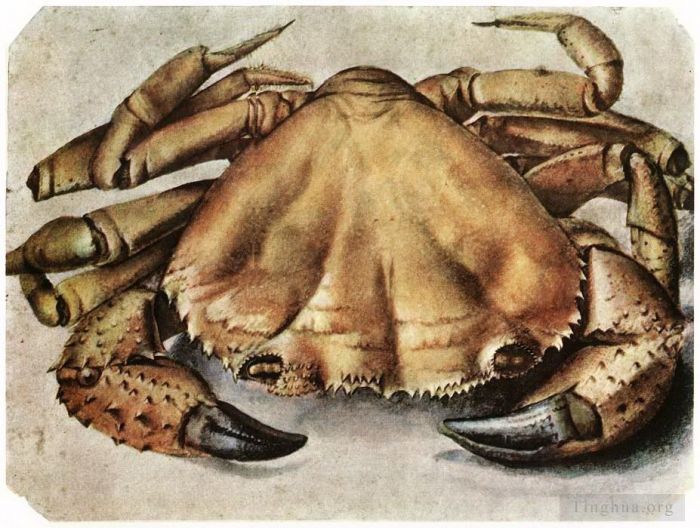 Albrecht Durer Various Paintings - Lobster