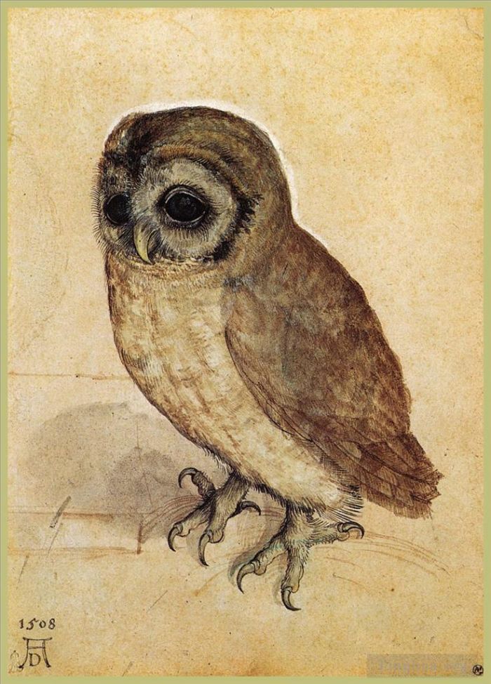 Albrecht Durer Various Paintings - The Little Owl