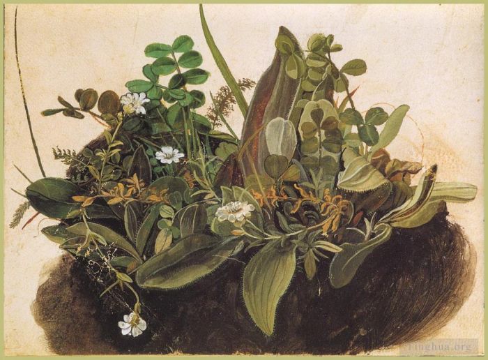 Albrecht Durer Various Paintings - The tuft of grass MINOR