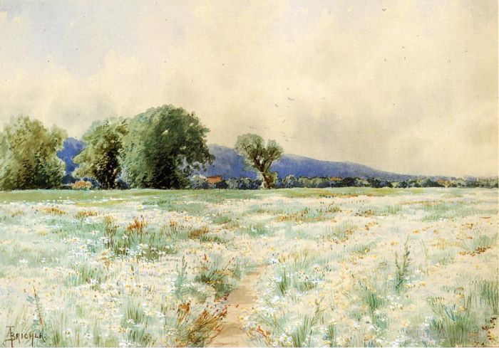Alfred Thompson Bricher Oil Painting - The Daisy Field