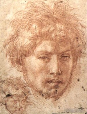 Artist Andrea del Sarto's Work - Head Of A Young Man
