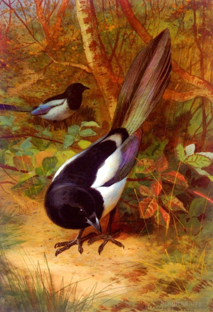 Archibald Thorburn Oil Painting - Magpies