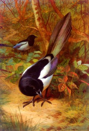 Antique Oil Painting - Magpies