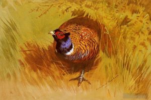 Artist Archibald Thorburn's Work - A Cock Pheasant