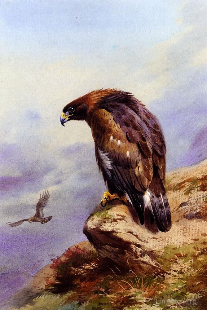 Archibald Thorburn Various Paintings - A Golden Eagle