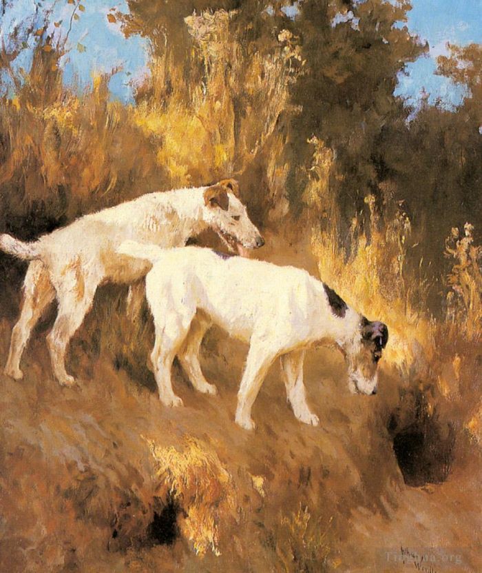Arthur Wardle Oil Painting - Terriers On The Scent