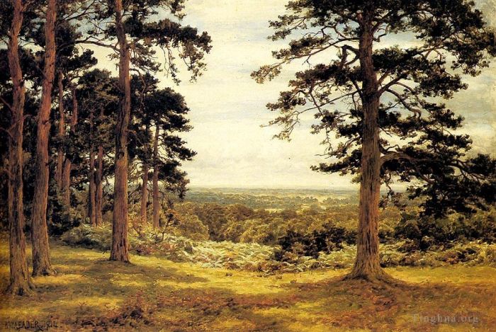 Benjamin Williams Leader Oil Painting - A Peep Through The Pines