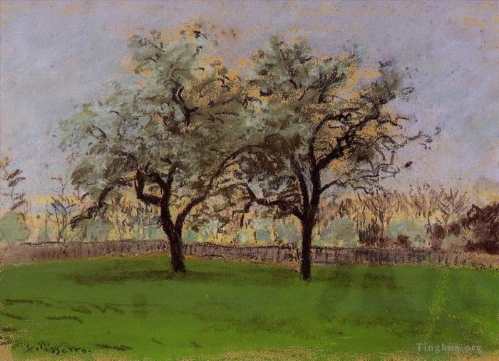 Camille Pissarro Oil Painting - Apples trees at pontoise
