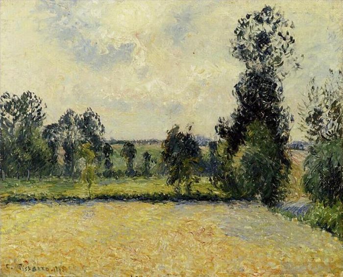Camille Pissarro Oil Painting - Field of oats in eragny 1885