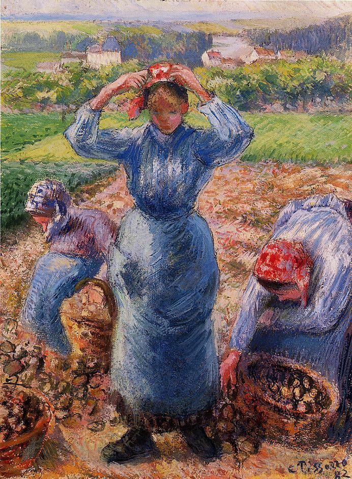 Camille Pissarro Oil Painting - Peasants harvesting potatoes 1882