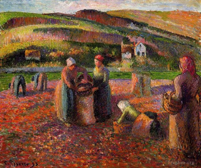 Camille Pissarro Oil Painting - Potato harvest 1893