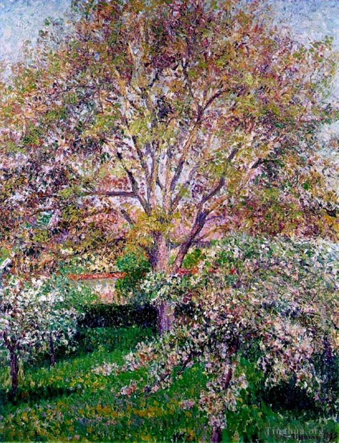 Camille Pissarro Oil Painting - Wallnut and apple trees in bloom at eragny
