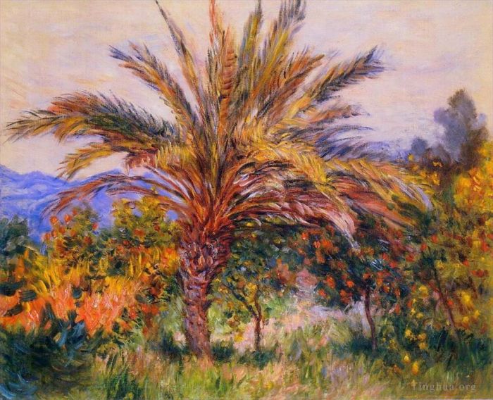 Claude Monet Oil Painting - A Palm Tree at Bordighera