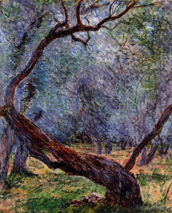 Claude Monet Oil Painting - Study of Olive Trees