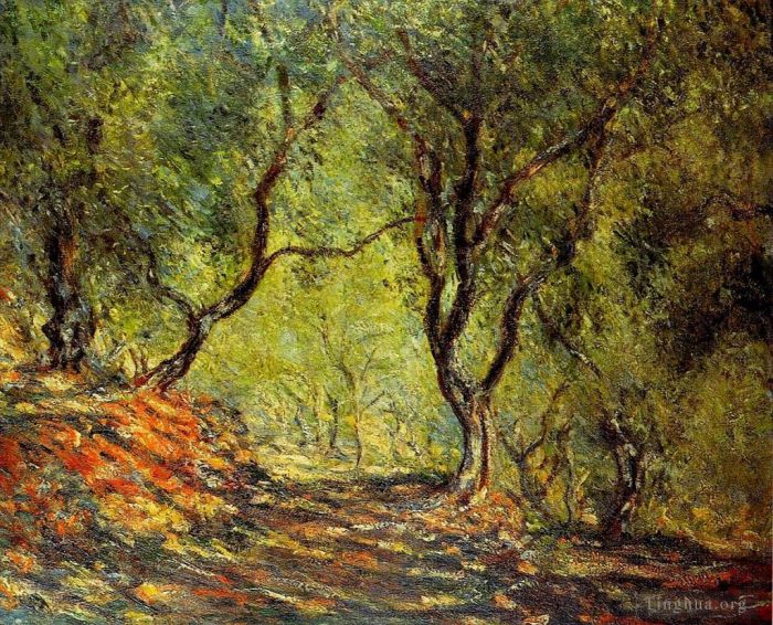 Claude Monet Oil Painting - The Olive Tree Wood in the Moreno Garden
