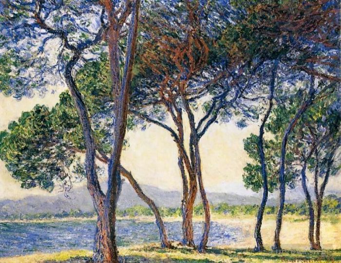 Claude Monet Oil Painting - Trees by the Seashore at Antibes