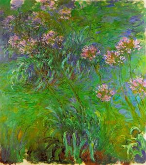 Artist Claude Monet's Work - Agapanthus