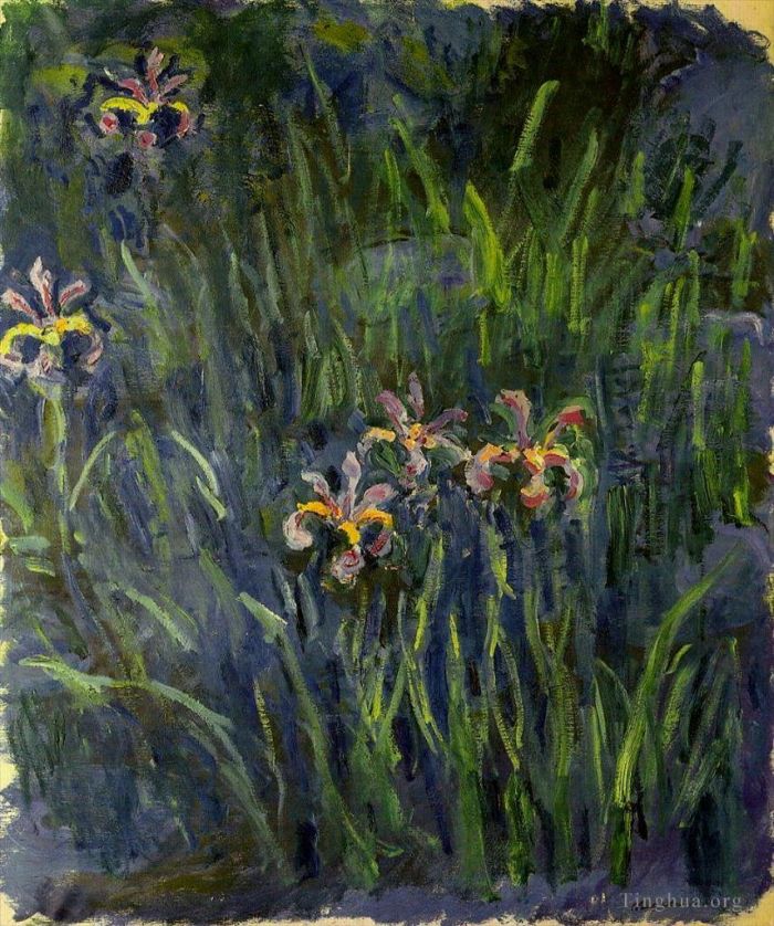 Claude Monet Various Paintings - Irises II