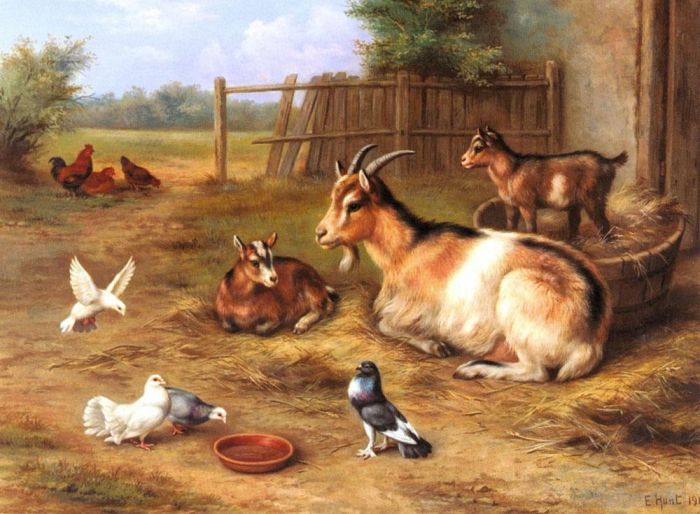 Edgar Hunt Oil Painting - A farmyard Scene With Goats Chickens Doves
