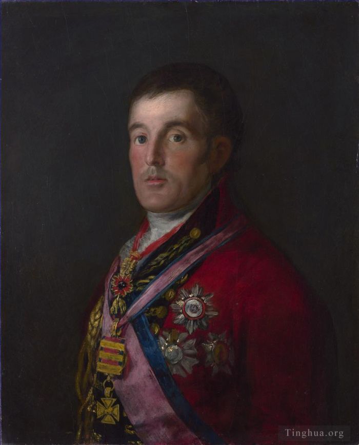 Francisco Goya Oil Painting - The Duke of Wellington