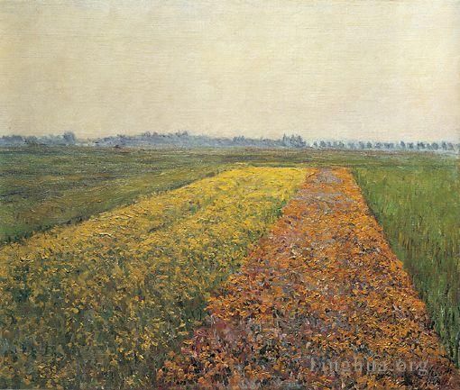 Gustave Caillebotte Oil Painting - The Yellow Fields at Gennevilliers