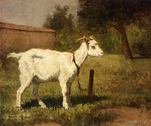 Artist Henriette Ronner-Knip's Work - A Goat In A Meadow animal sheep